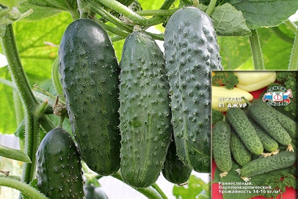 die meisten Krankheiten