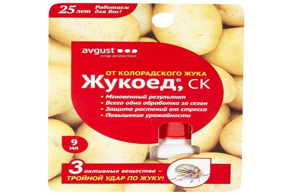 comportement des insectes