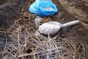 Comment préparer et appliquer les cendres comme engrais dans le jardin?