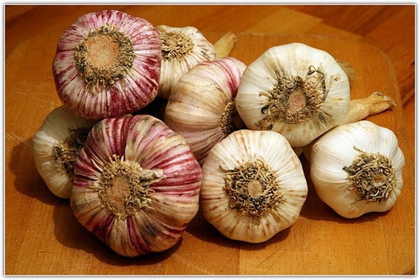 Kultivierungsmerkmale