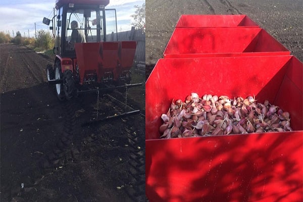 matière dans le sol