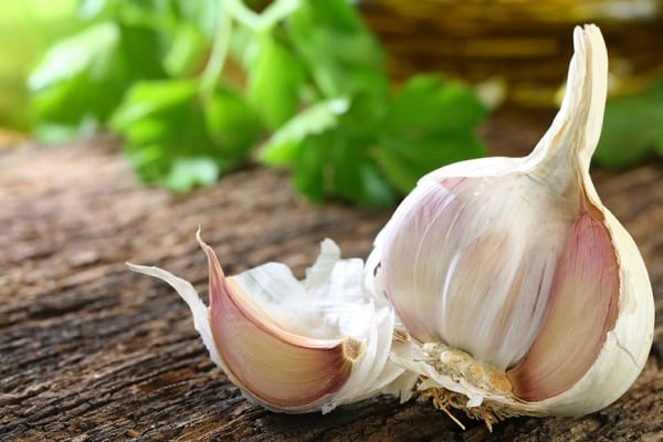 les boîtes se fissurent