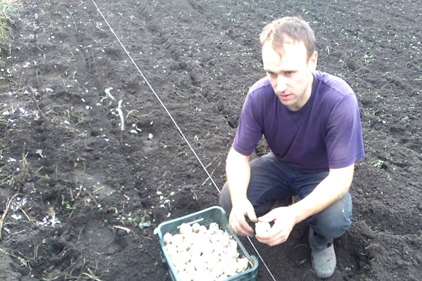 auswählen und überprüfen