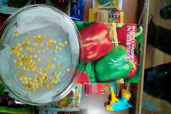 recommandations simples