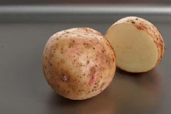 verarbeiten und iterieren