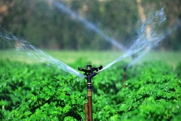 Füttern und Gießen