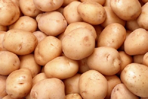 Kultivierungsmerkmale