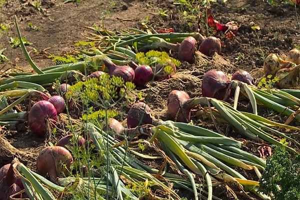 période défavorable