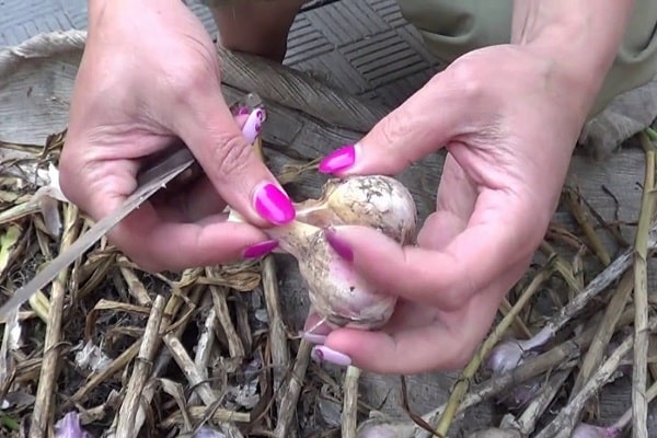 nettoyer correctement