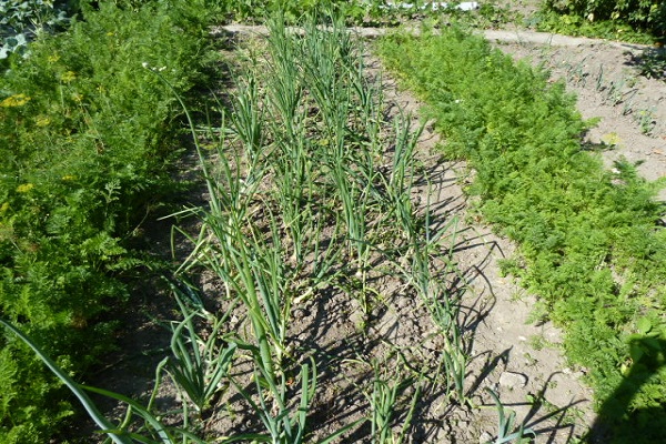 soins supplémentaires