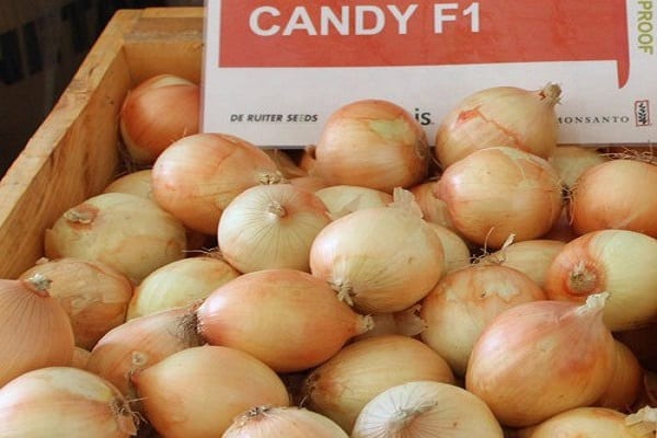 Unkraut in den Betten