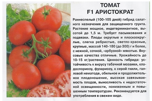 eine kurze Beschreibung der Tomatensorte Aristocrat