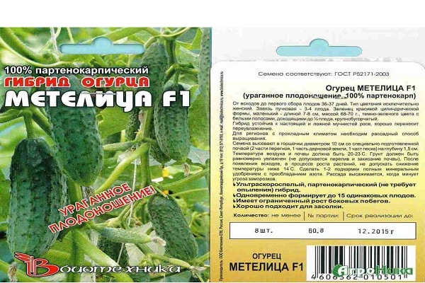 Die Kultur ist gepflanzt