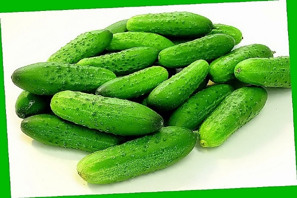 Stängel auf einem Gitter