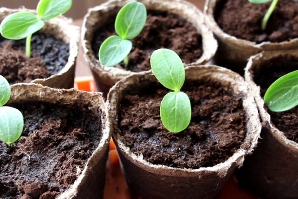 unfavorable conditions