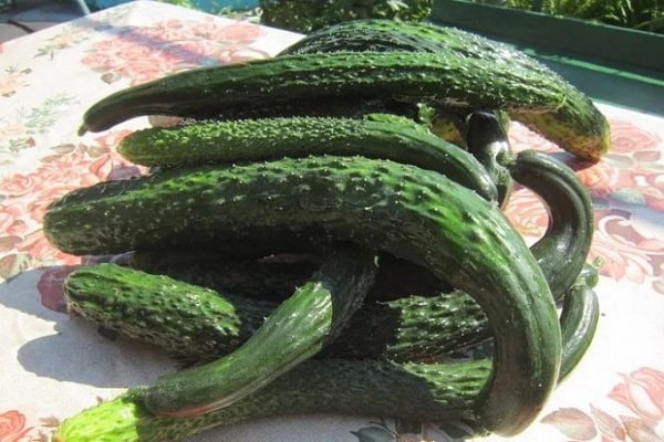 détruire les atterrissages