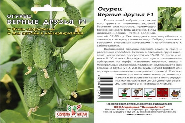 bienenbestäubte Hybride