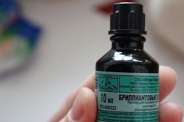 Rezept mit leuchtendem Grün