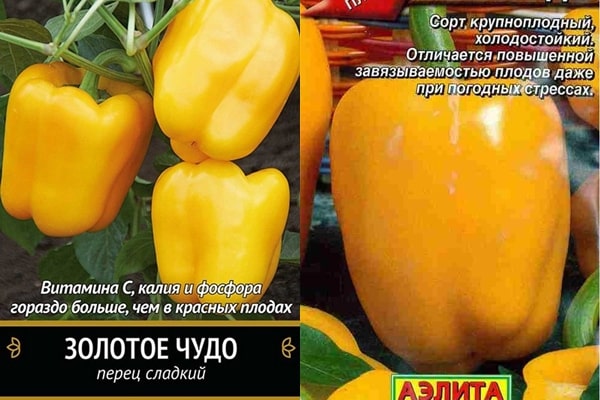 pepper seeds Golden Miracle