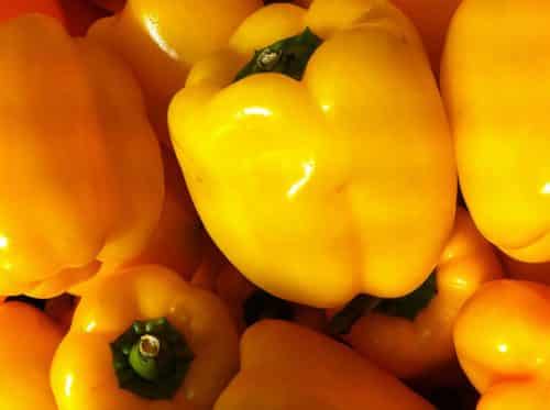 the appearance of the Golden Miracle pepper