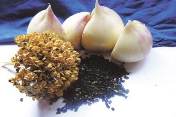 facile à introduire