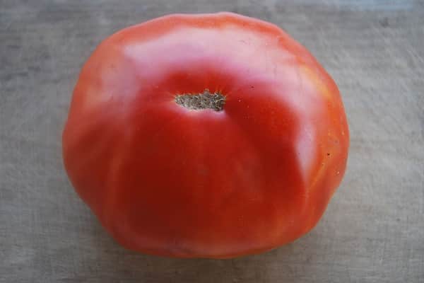 Description de la variété de tomate Barin, caractéristiques de culture et rendement