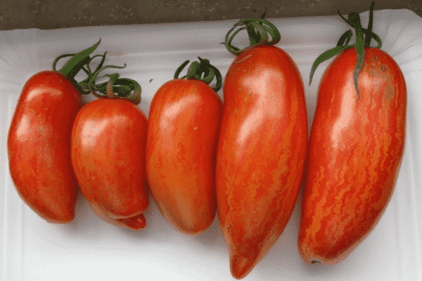 traitement préventif