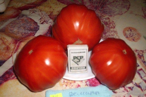 forme ronde et plate