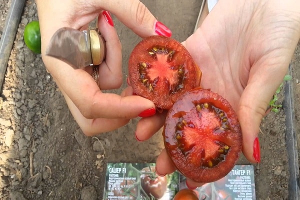 dignité de la variété