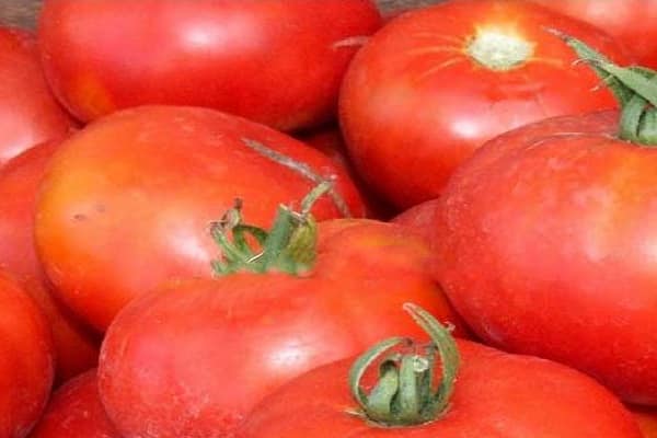 qualité de la maturité précoce