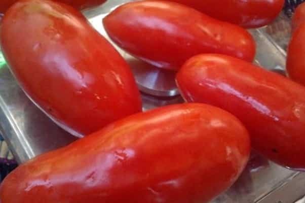 apparence de doigts de sucre de tomate
