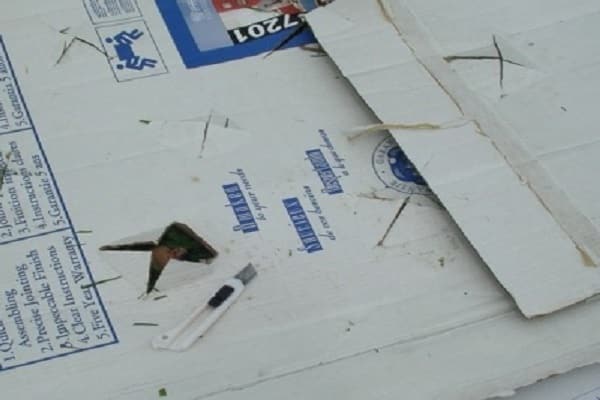 in cardboard and straw