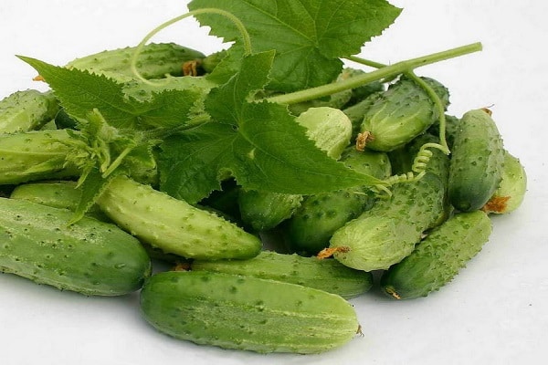 entwickelte Immunität