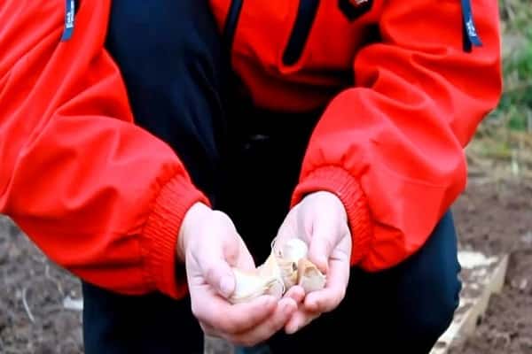 care recommendations