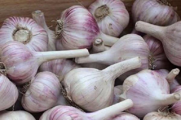 niedrige Temperaturen