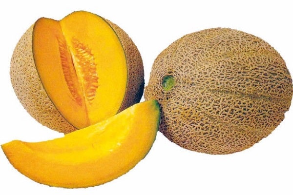 endurer la sécheresse