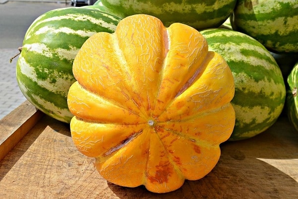 terre dans le jardin