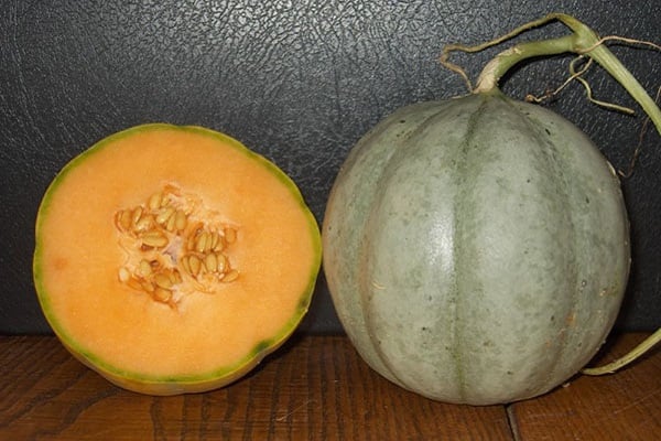 les fruits sont cultivés