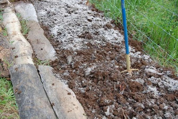 matériel de plantation