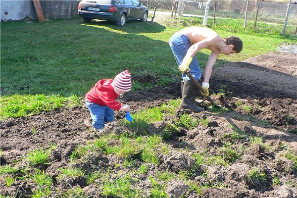 terre pour la plantation