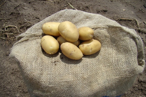 vorbeugende Behandlung