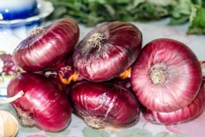 Comment faire pousser et stocker les oignons de Crimée et de Yalta dans la voie du milieu?