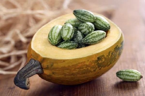 micro-éléments utiles