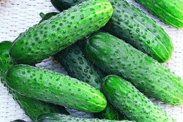 dolomite de concombre