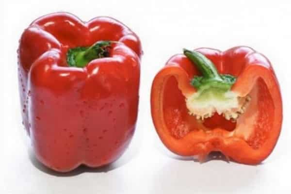 universalité d'application