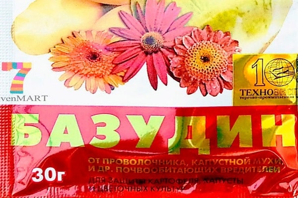 planter des carottes