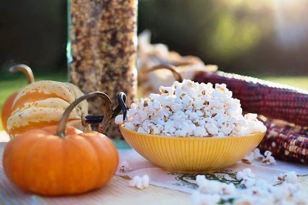 versuche es zu kultivieren