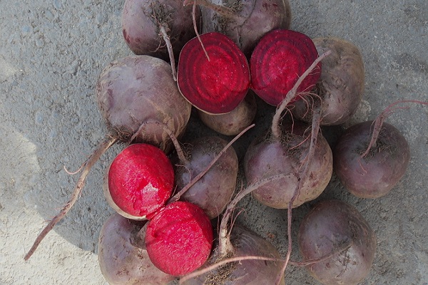 Samen werden überprüft