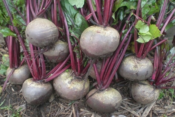 am Ende im Boden landen