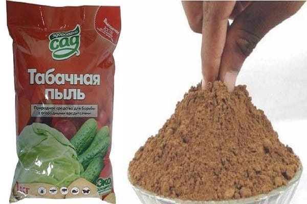 Atemschutzmaske tragen